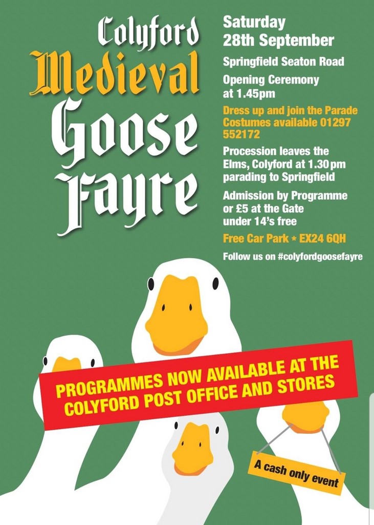 Colyford Goose Fayre 2024 1