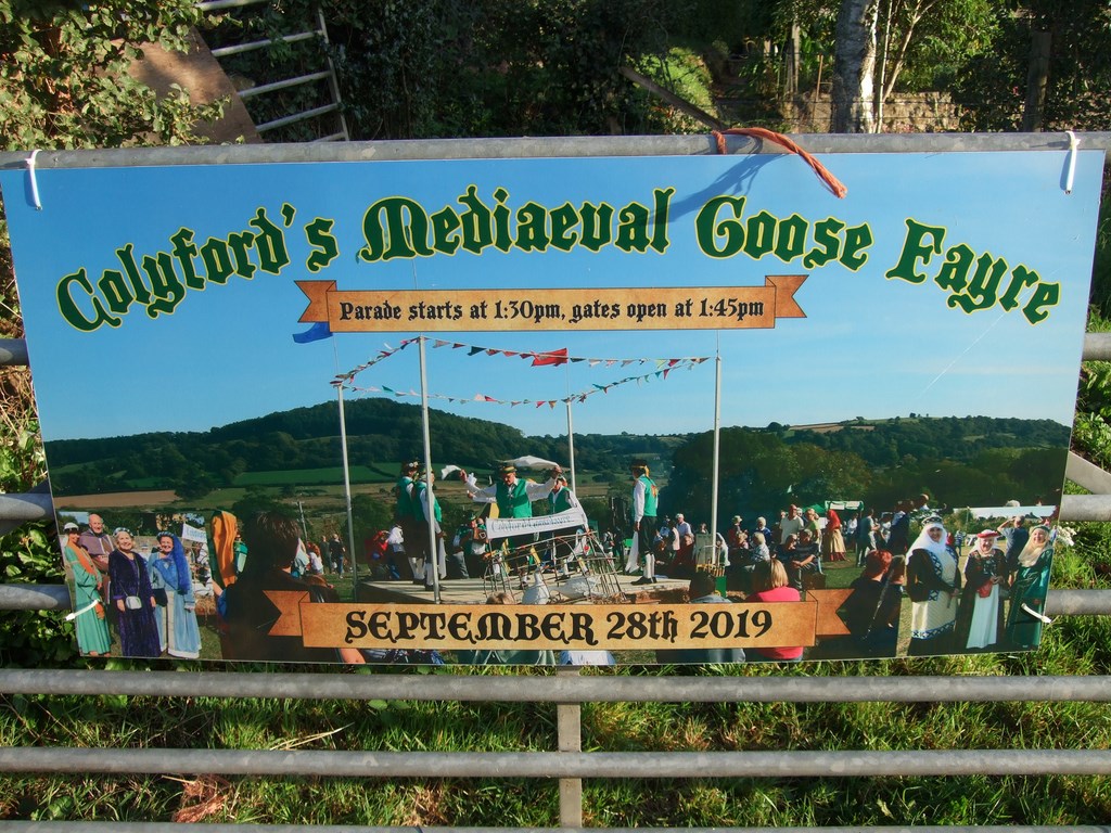 The 2019 Colyford Goose Fayre 100