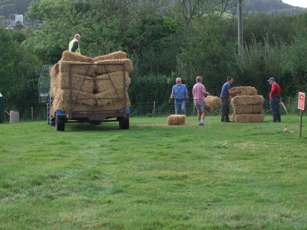The 2019 Colyford Goose Fayre 110