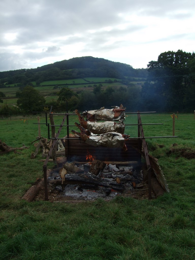 Colyford Goose Fayre 2024 4