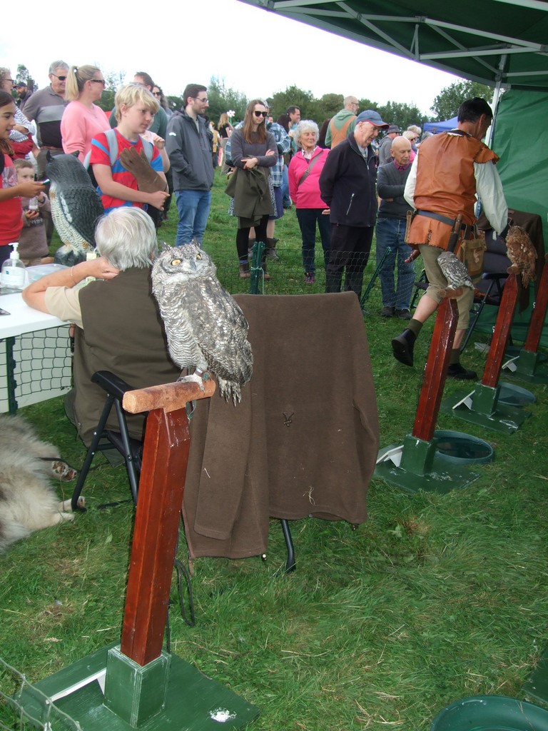 Colyford Goose Fayre 2024 44