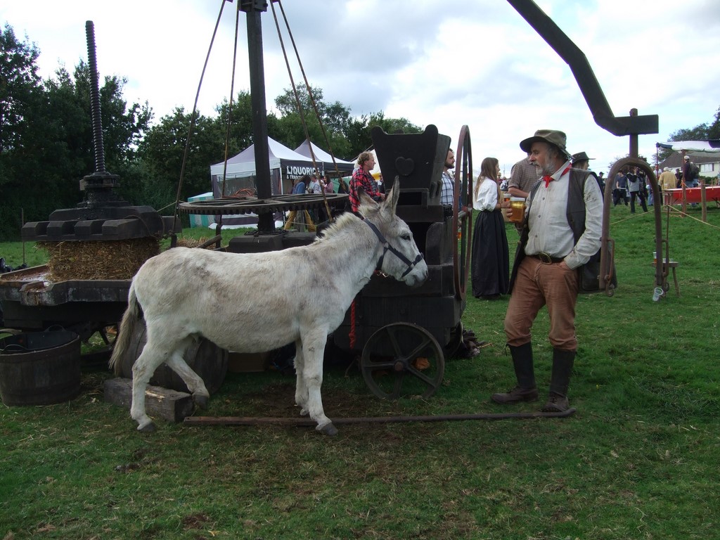 Colyford Goose Fayre 2024 48