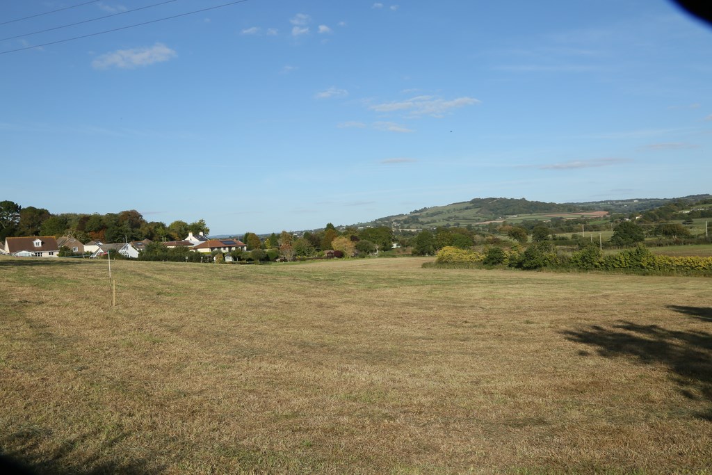 Colyford Goose Fayre 2018 site