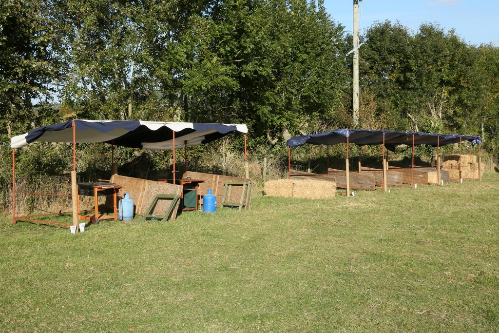 Colyford Goose Fayre 2018 stalls