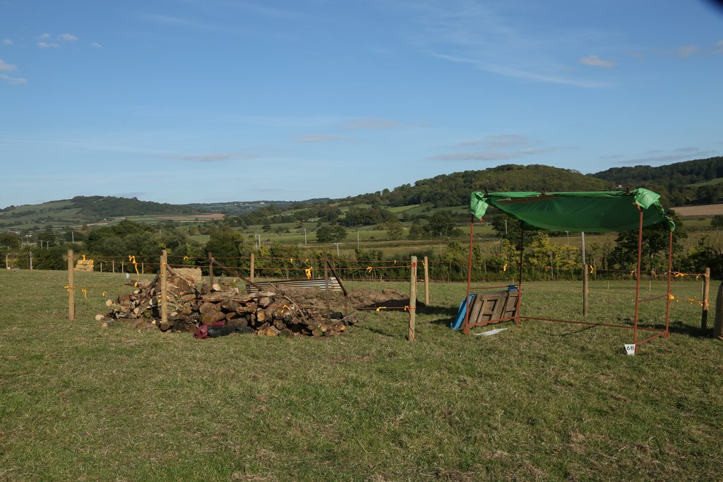 Colyford Goose Fayre 2018 hog roast