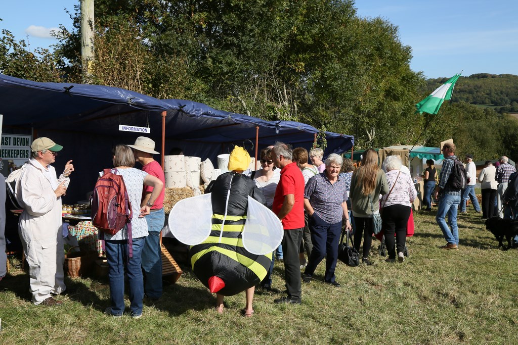 Colyford Goose Fayre 2018 Bee!