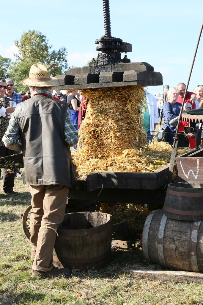 Colyford Goose Fayre 2018 press