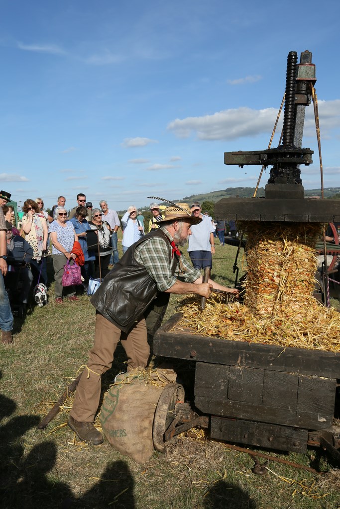Colyford Goose Fayre 2018 pressing