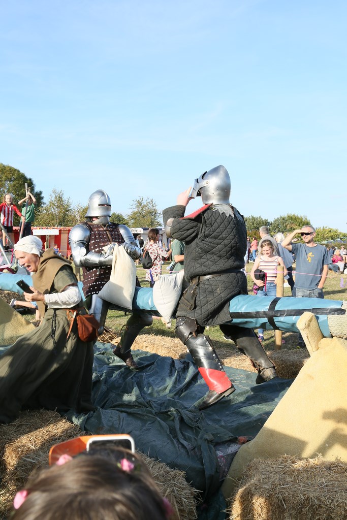 Fighting on the greasy pole, 2018 Colyford Goose Fayre