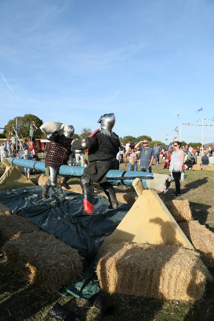 Doing battle on the greasy pole, 2018 Colyford Goose Fayre
