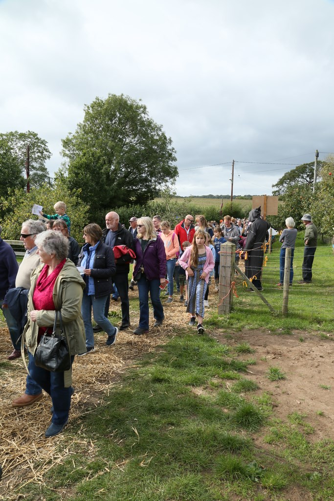 The 2019 Colyford Goose Fayre 33
