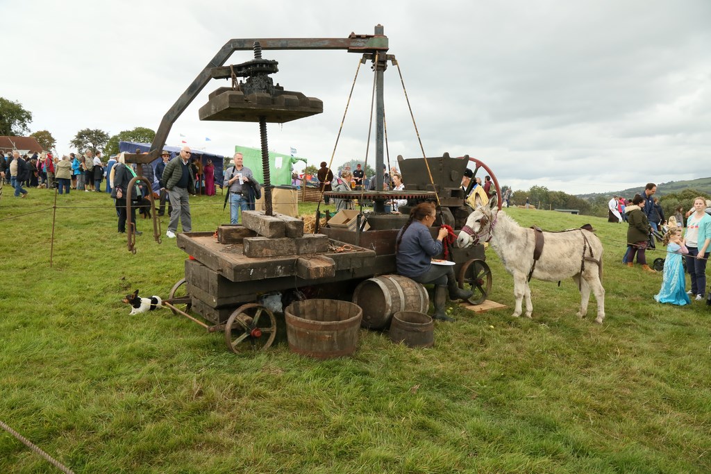 The 2019 Colyford Goose Fayre 47