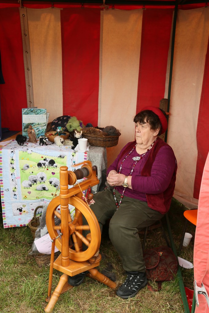 The 2019 Colyford Goose Fayre 70