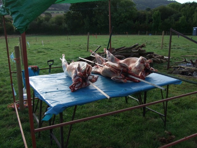 Colyford Goose Fayre 2022 Picture 3