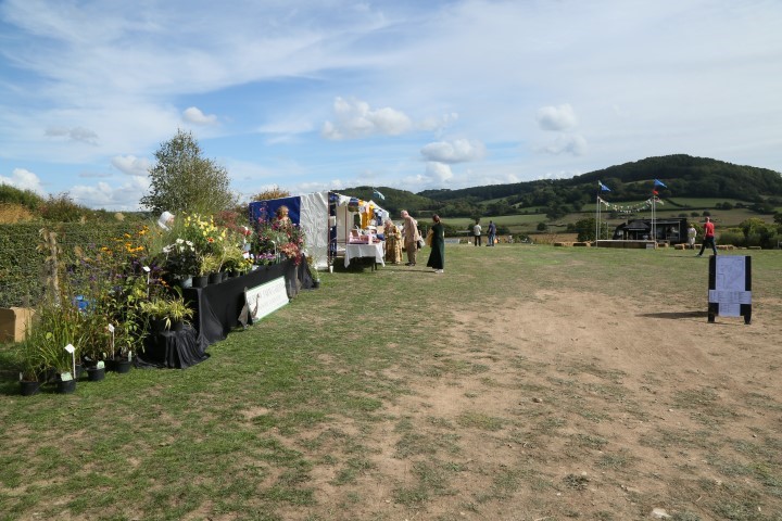 Colyford Goose Fayre 2022 Picture 45