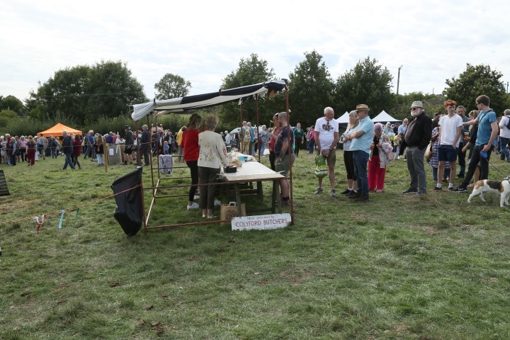 Colyford Goose Fayre 2022 Picture 71