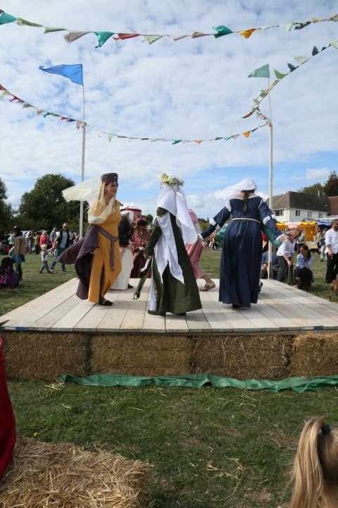 Colyford Goose Fayre 2022 Picture 75