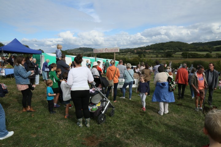 Colyford Goose Fayre 2022 Picture 79