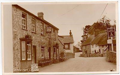 The White Hart Colyford