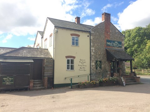 The White Hart Colyford